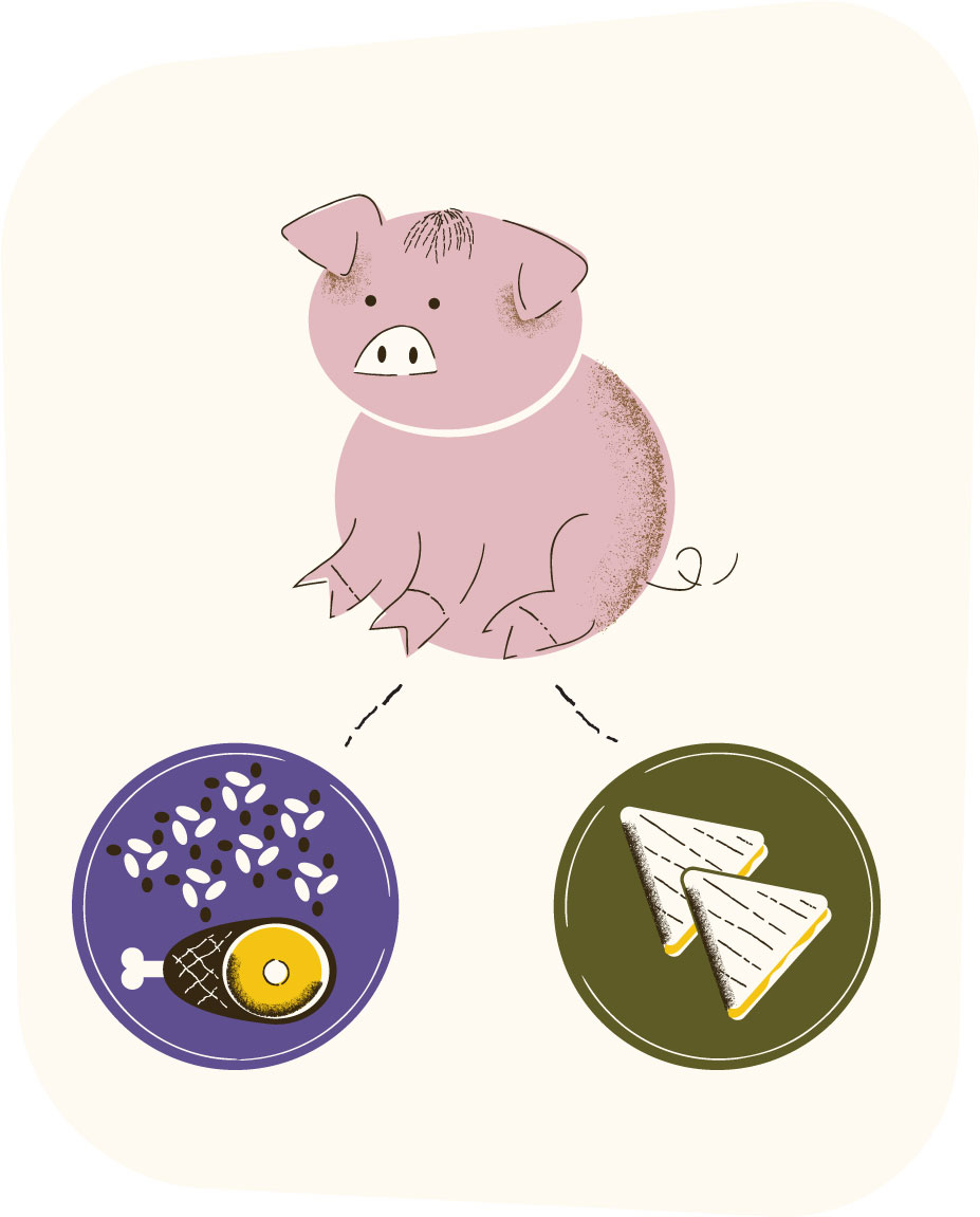 Illustration of pork used multiple ways.